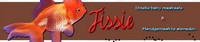links_fissie